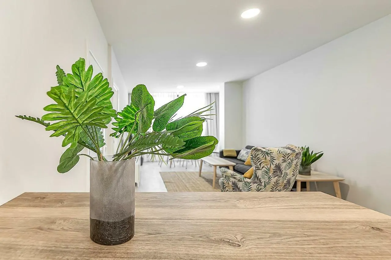 Apto Drago Holidays Apartment Santa Cruz de Tenerife 0*,
